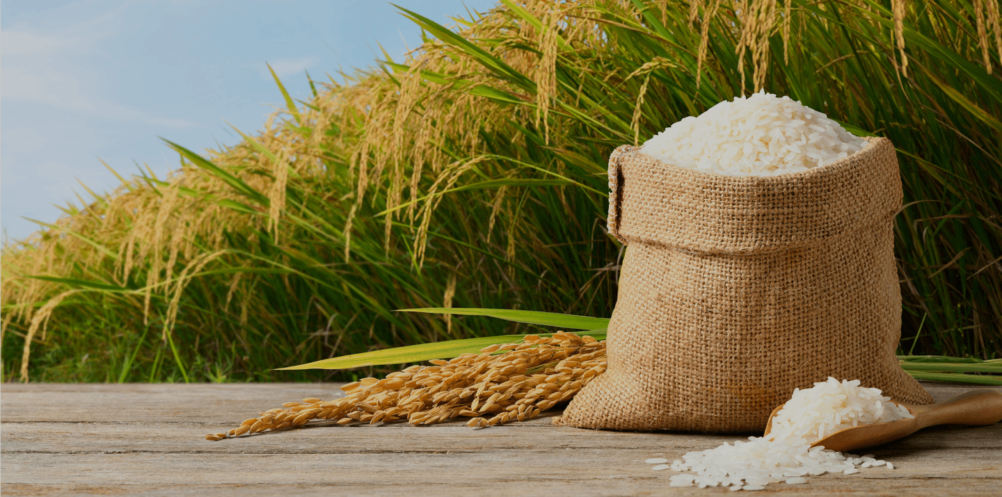 From Our Fields to Your Table