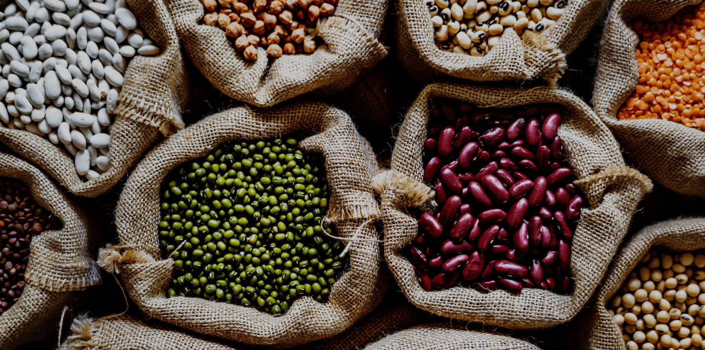 Feeding the Future with Quality Crops