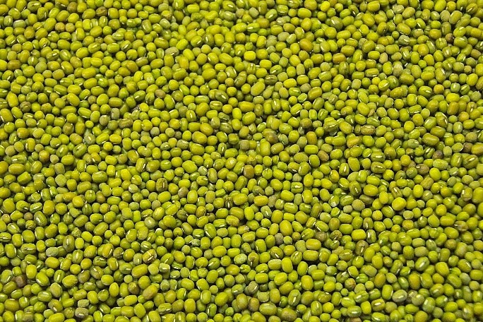 Green Mung Bean 2