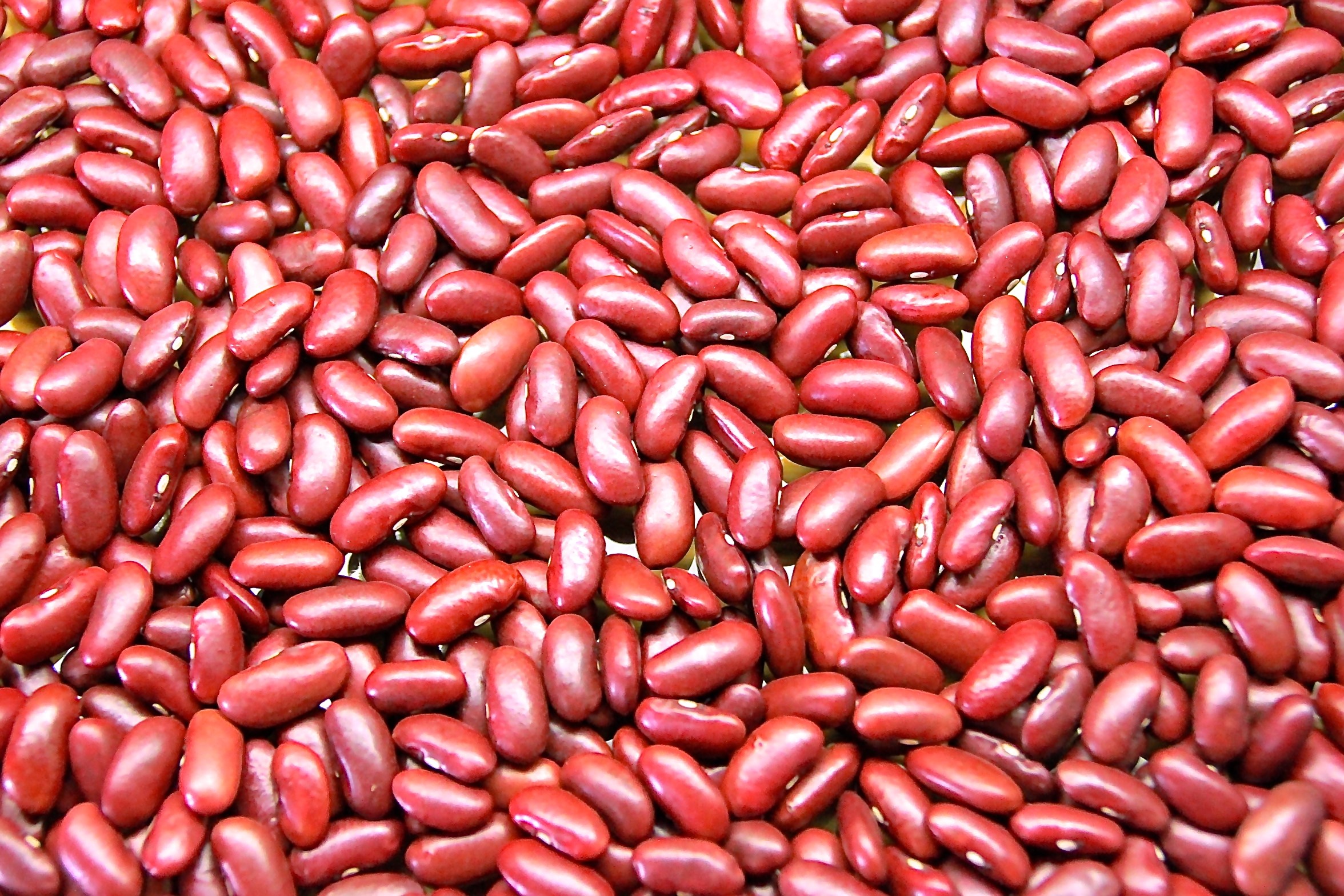 Red Kidney Bean 2